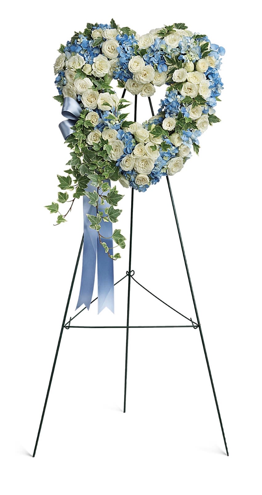 Pure Heart - A large heart-shaped wreath crafted in a cool white and blue palette, this funeral sympathy arrangement reads as a serene and reverent tribute. The flower arrangement and occasion - sympathy and funeral - are introduced immediately so the person you're honoring receives a calm, graceful statement of remembrance.  Clusters of white roses form the heart's base, punctuated by lush blue hydrangea groupings and delicate spray roses for texture. Ivy trails gently down one side, adding soft green movement against the formal black metal easel stand; a satin blue ribbon completes the look. The size and presence of the wreath make it suitable for viewings and memorial services where a meaningful visual focal point is desired.  Designed to comfort and convey sympathy, this piece will help the recipient feel remembered and honored during a difficult time. Arrives ready to display on the included easel; for best appearance, keep the arrangement in a cool location away from direct sun and drafts until the ceremony.
