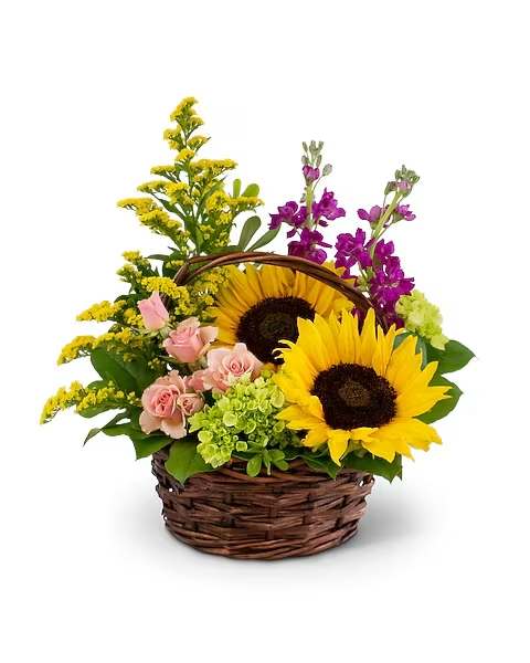 Wild Woodlands - You never know what you are going to find in the wild. This basket surprises you with Sunflowers, Spray Roses, Mini Hydrangeas, Solidago and premium greens. The Wild Woodlands arrangement is a great way to express any sentiment from Just Because to Congratulations. 