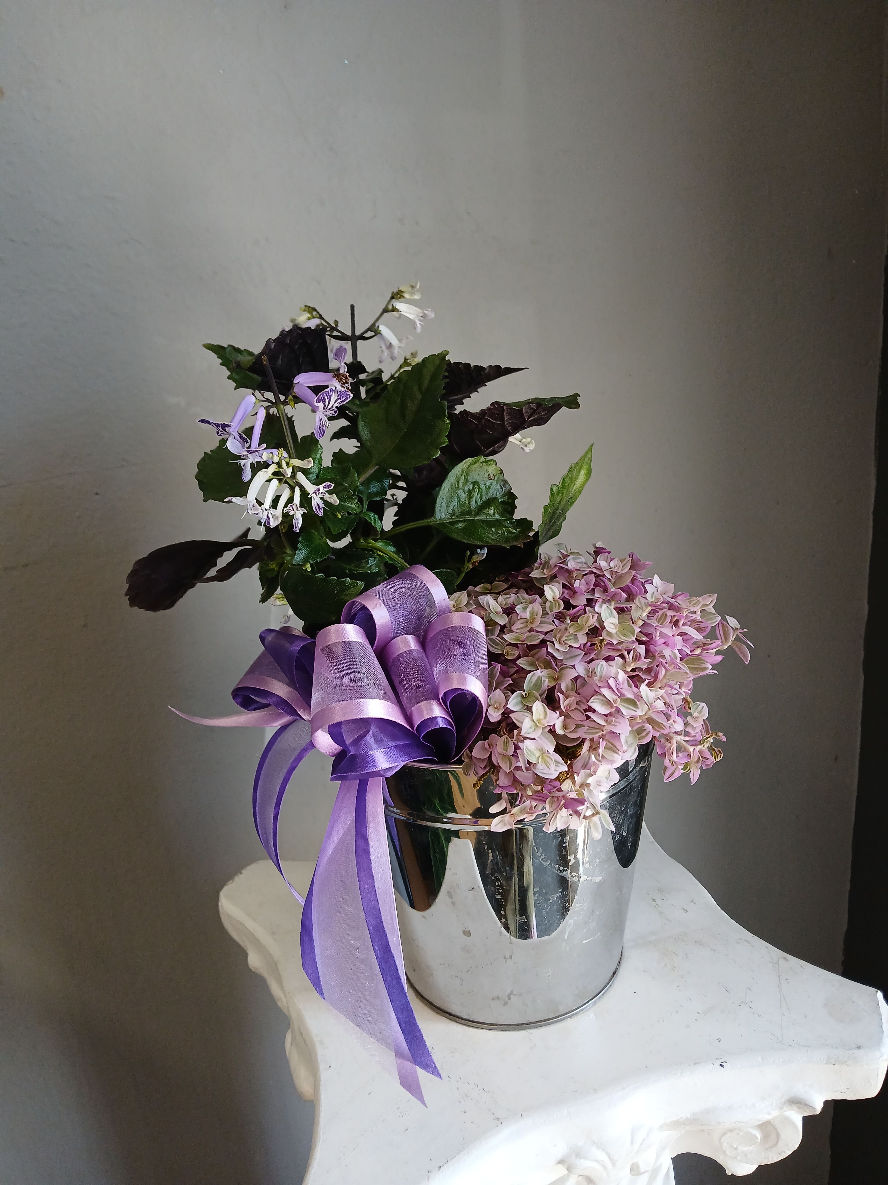 #PL32 Pink lady + Mona lavender - Pink lady succulents and Mona lavender pair to make a wonderful arrangement  Not pet friendly 