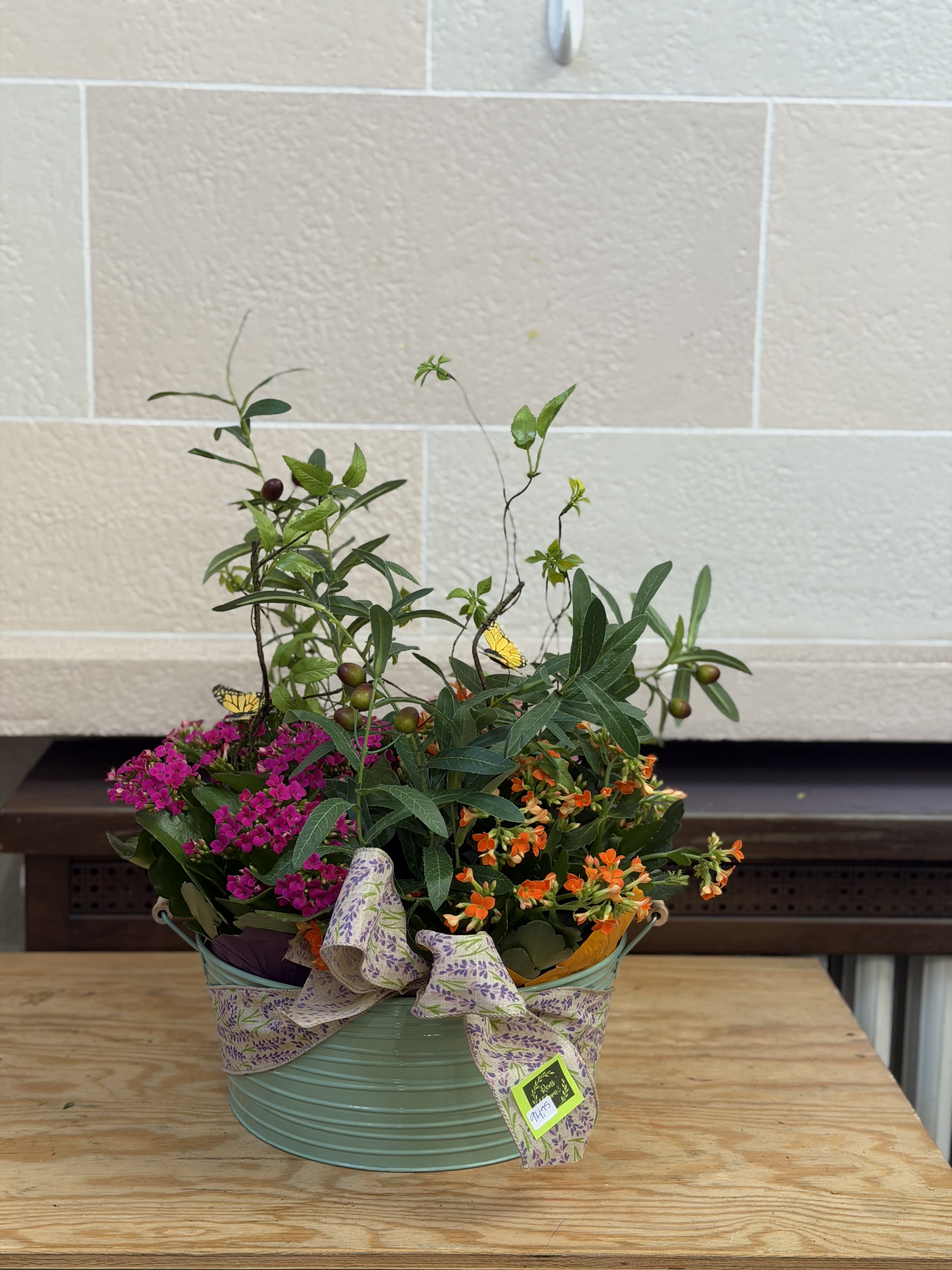 3 Kalanchoe Dish Garden  - 3 6" Kalanchoe's in a tin bucket with artificial greenery and butterflies added. 