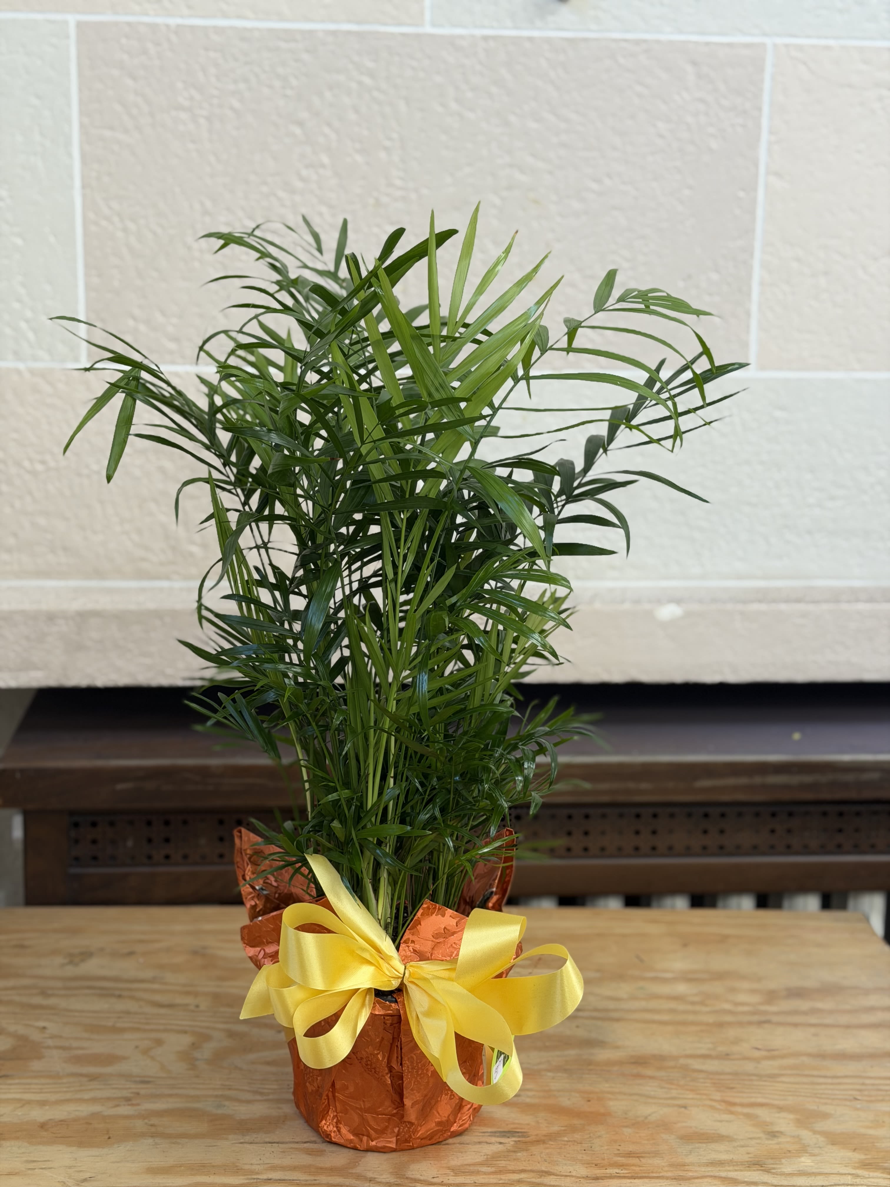6" Wrapped Palm - A 6" palm wrapped in foil with a bow. 