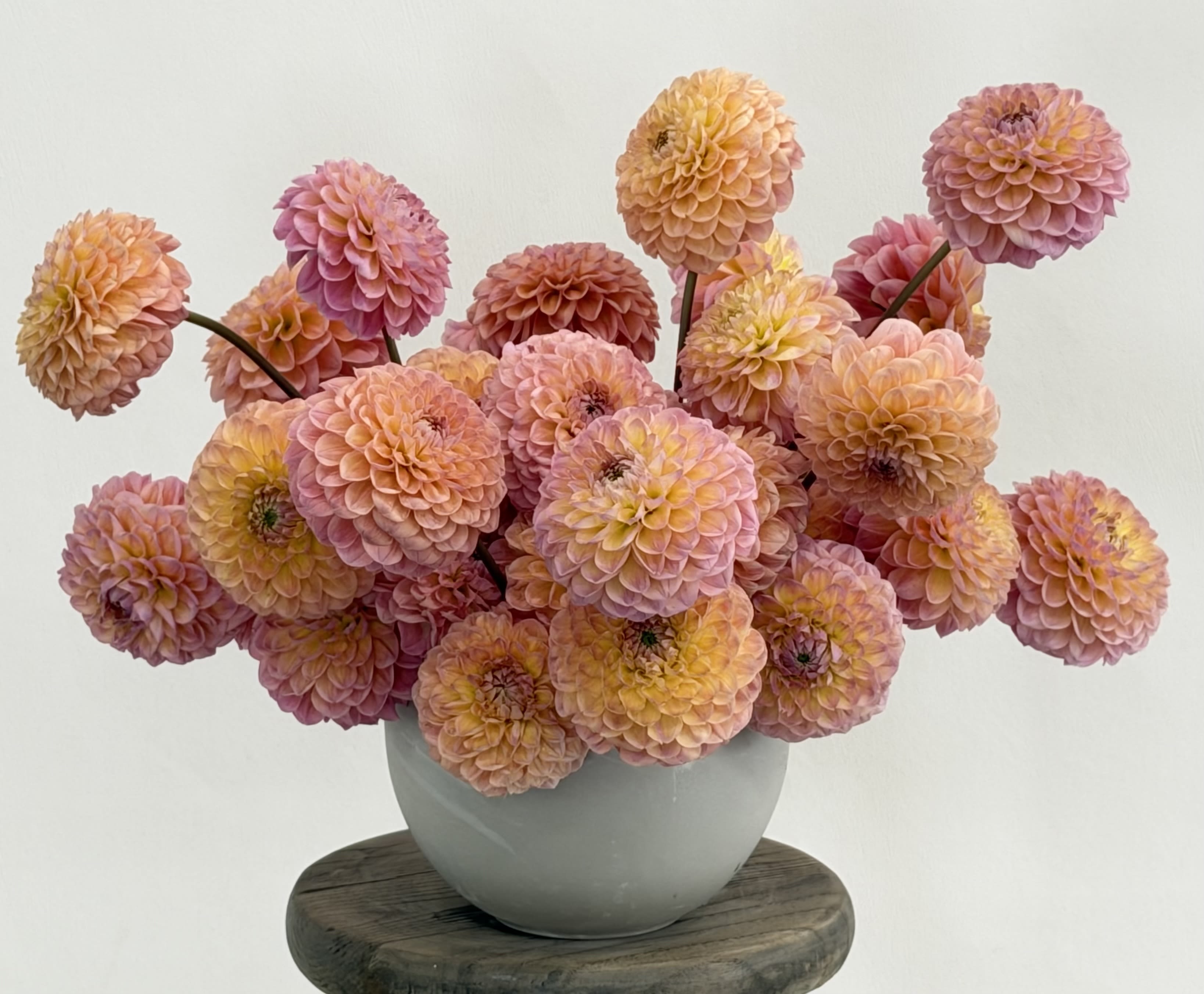 The Calling all Dahlia Lovers arrangement! - Calling all dahlia lovers!  This seasonal summer arrangement can come in a variety of colors.  Peach, variegated pale pinks and whites, purples and/or just whites.  Just let us know your preference and if that color is available - it's all yours!  Dahlias are a pure summer necessity.  