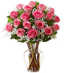 24 kisses - pink roses 2 dozen