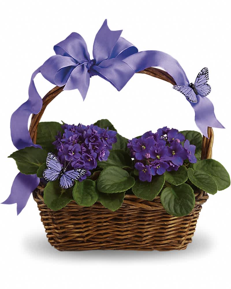 Basket of purple flowering plants with a lavender bow and decorative butterflies on the handle and blooms.