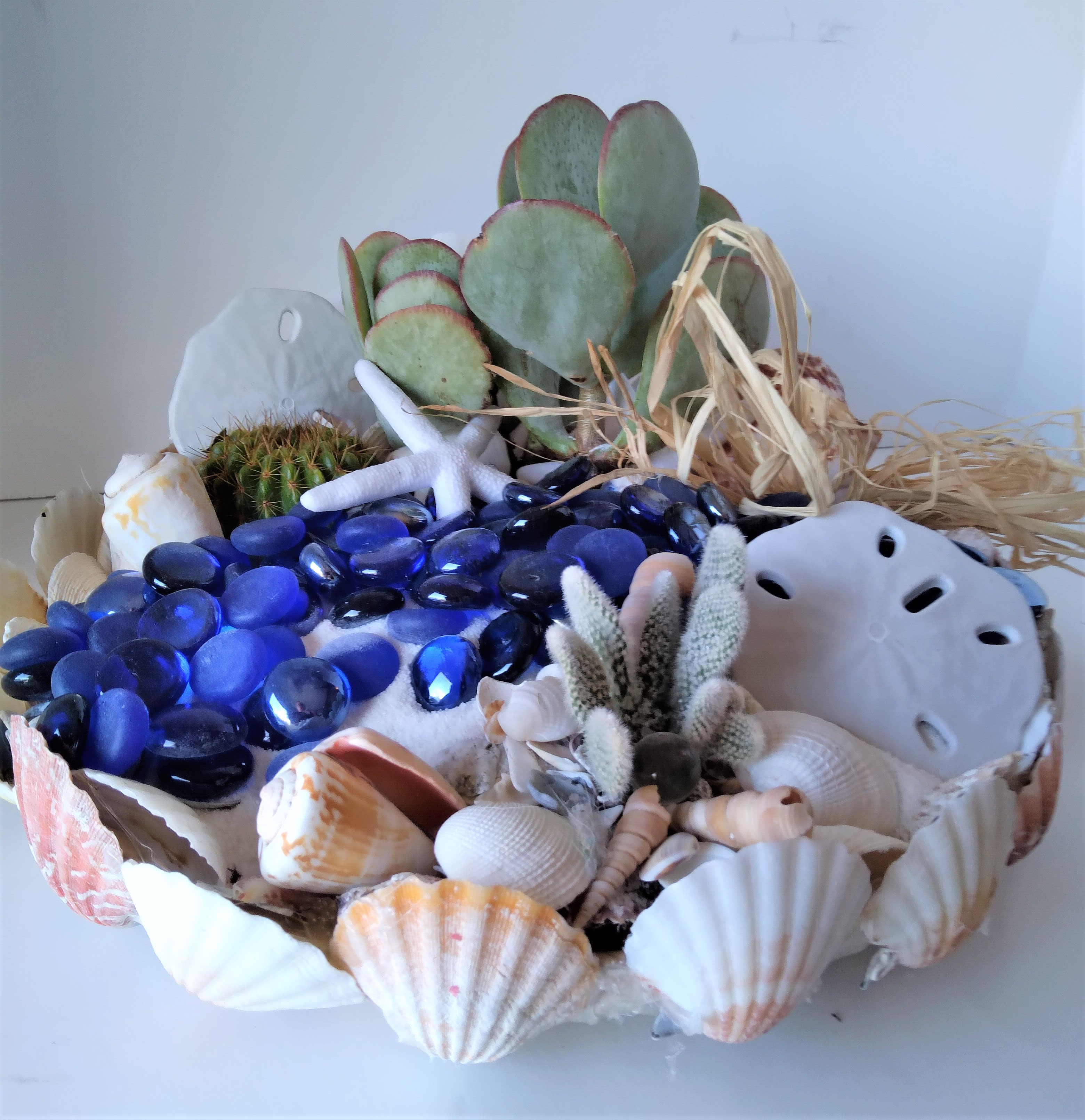 Coastal-themed succulent dish garden with blue glass stones and assorted seashells