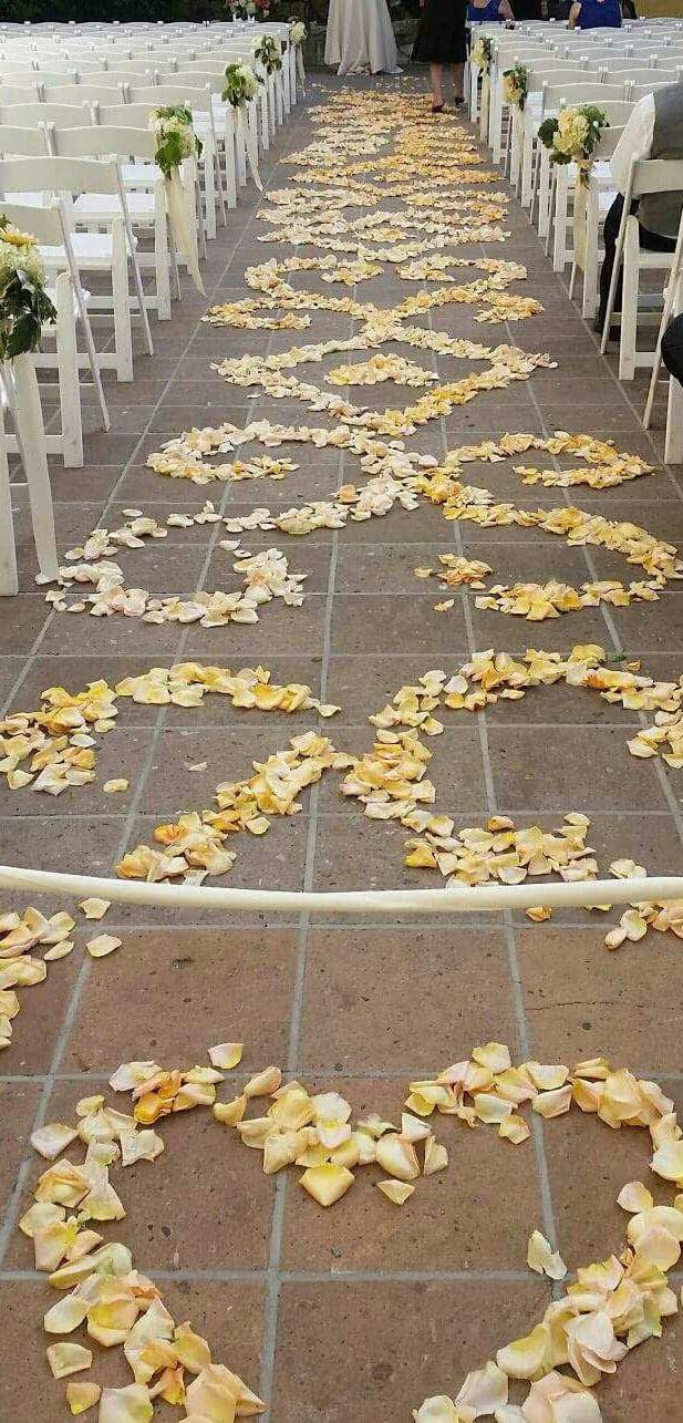 Wedding aisle lined with white chairs and scattered yellow-white petals
