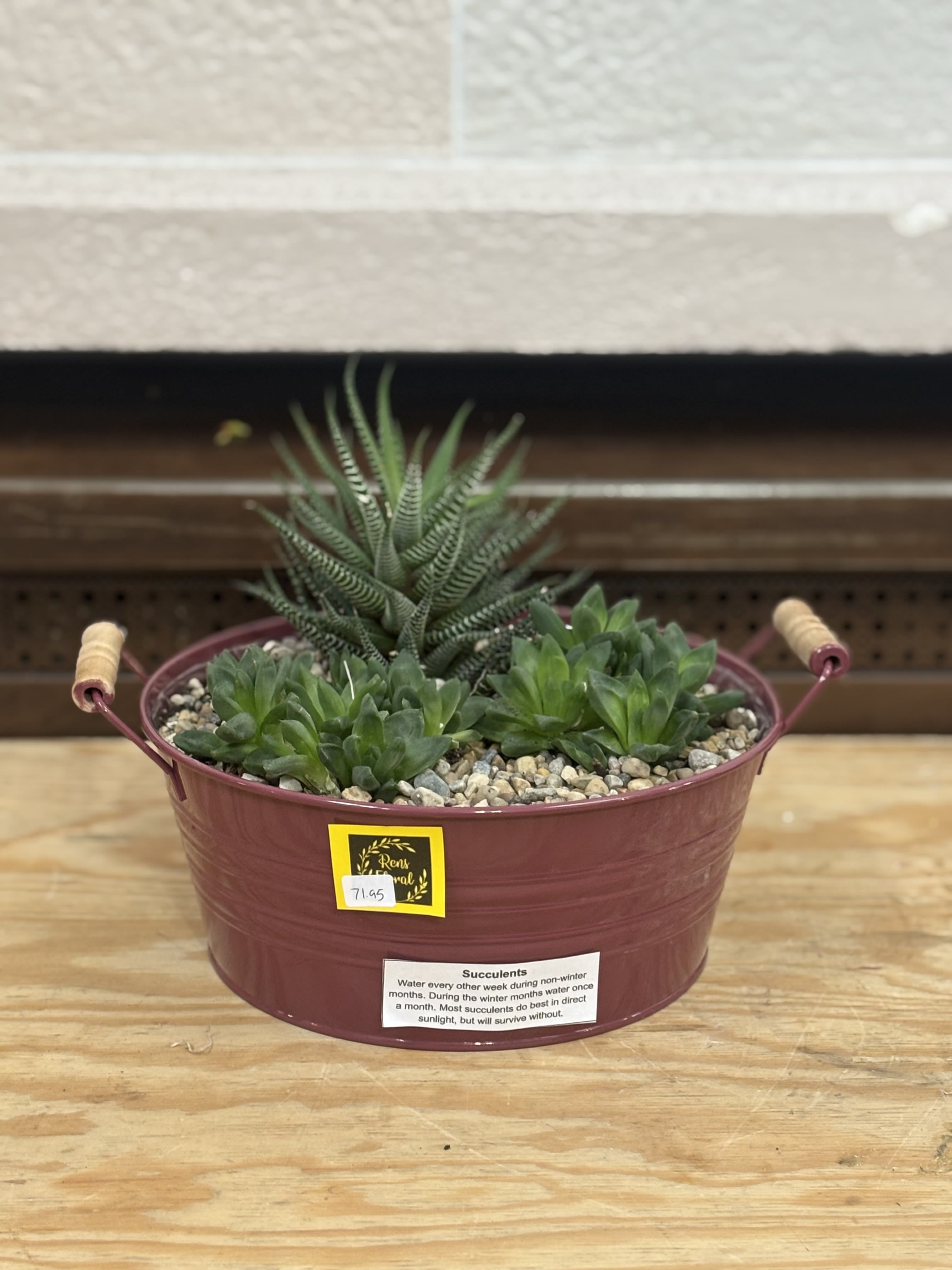 Potted succulent arrangement in a burgundy metal container with handles