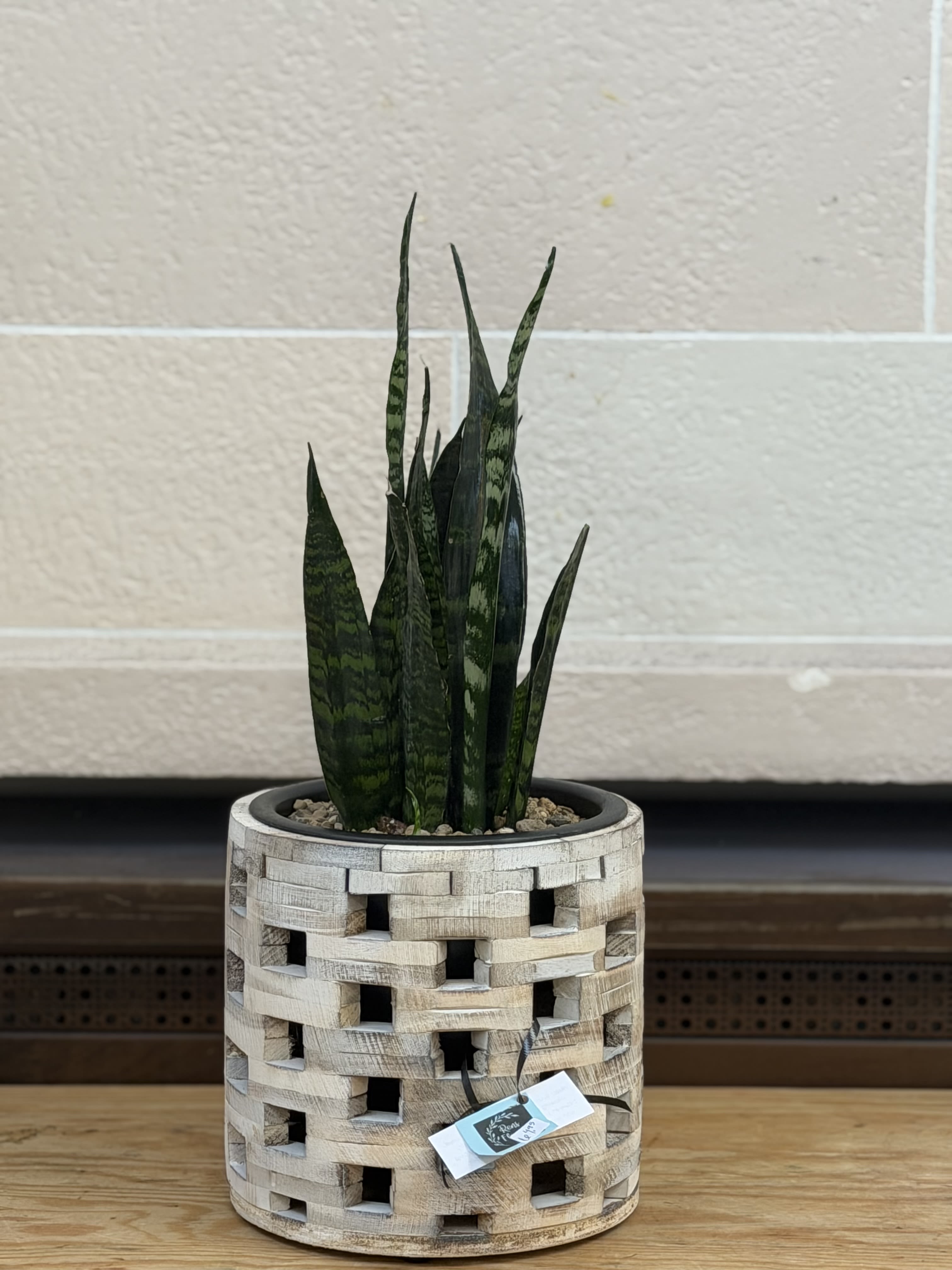 Rustic Wooden Snake Plant  - A 6" snake plant in a rustic wooden planter 