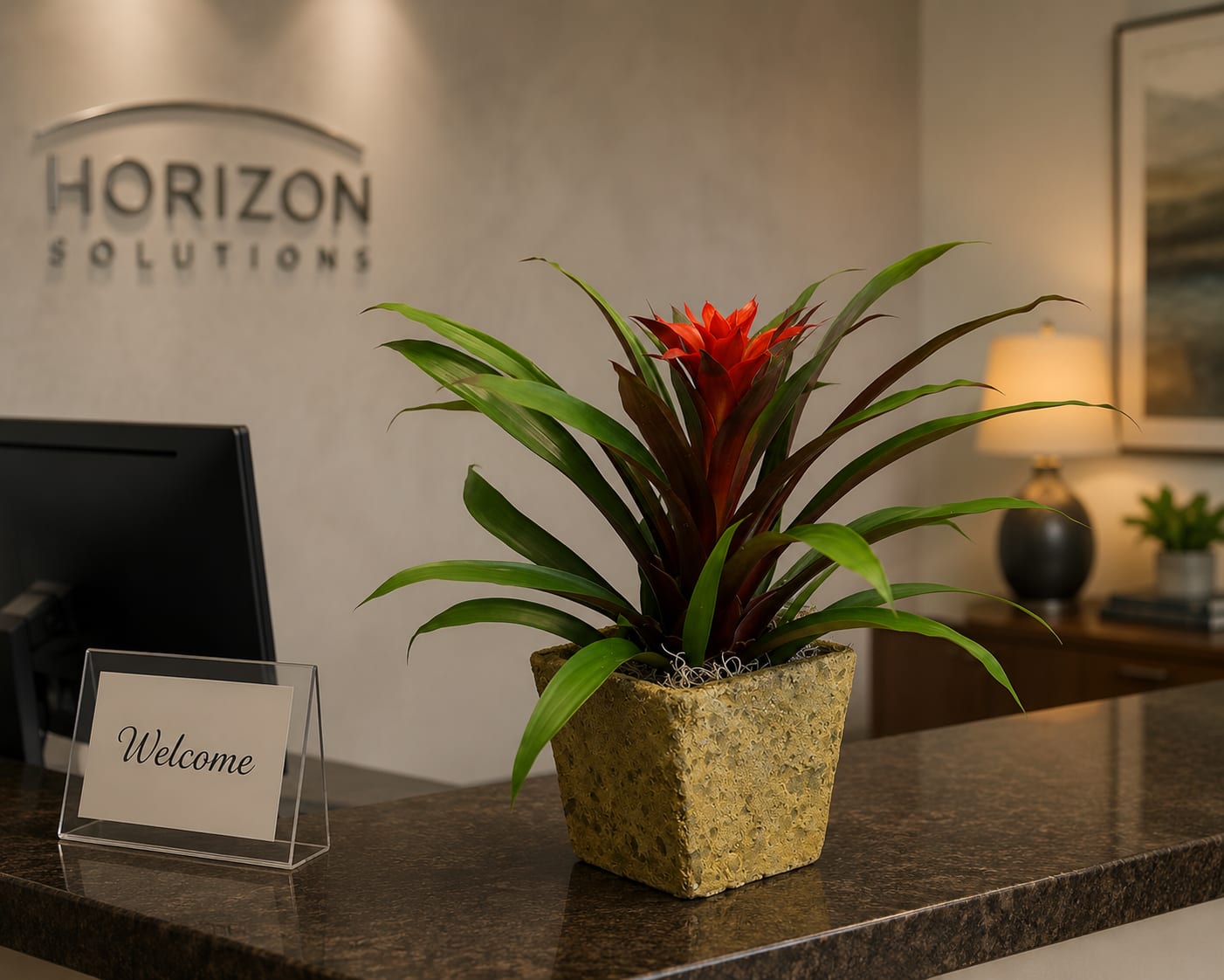 K409  Bromeliad Planter - Experience the vibrant beauty of these long-lasting tropical plants, perfect for enhancing any space. Enjoy their stunning blooms for 2 to 4 months, adding a splash of color to your surroundings. Each arrangement is thoughtfully combined to create the most visually appealing presentation, ensuring a unique and captivating display every time.