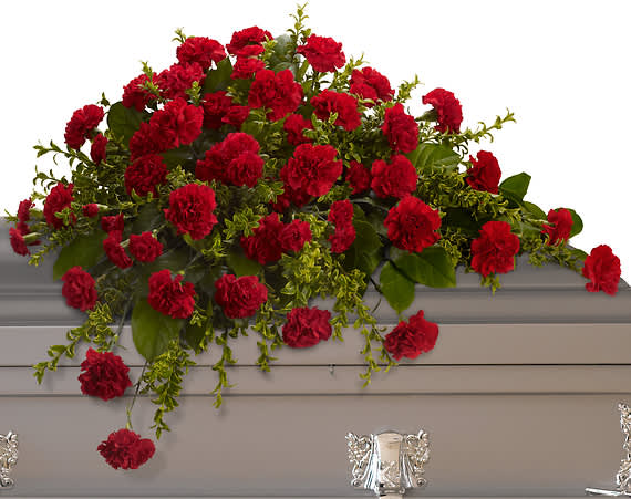 Casket spray of red carnations with greenery
