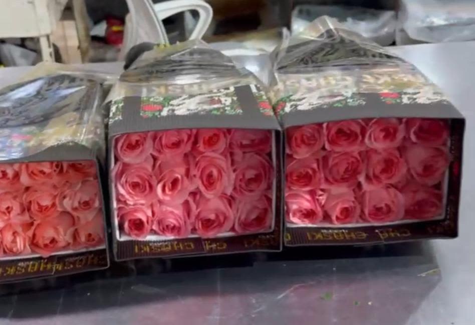 Three boxed bouquets of pink roses wrapped in clear plastic
