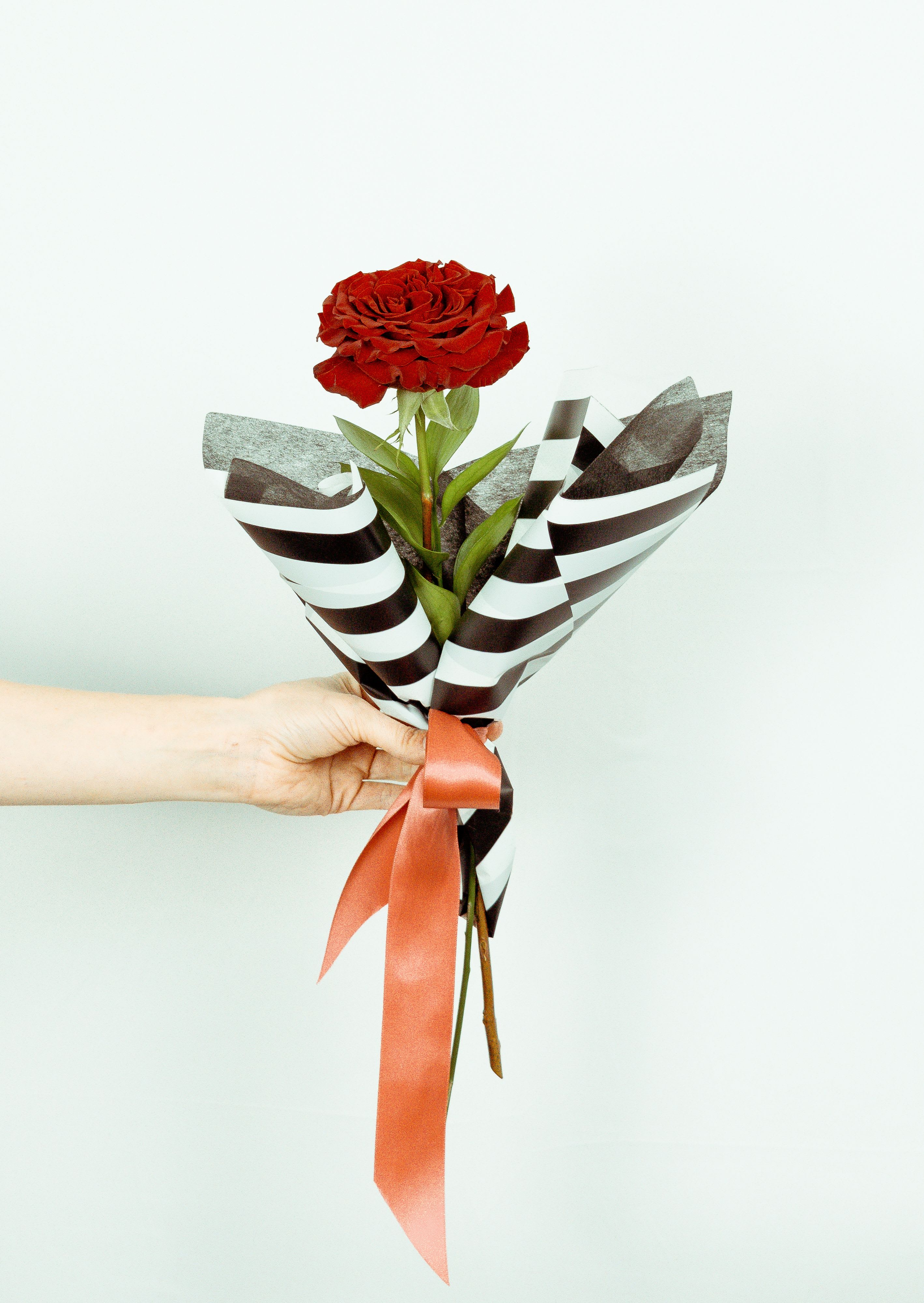 Single red rose wrapped in striped paper with a ribbon