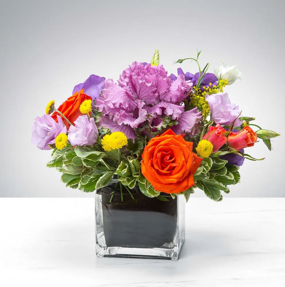 Vibrant Variety by BloomNation™ - This arrangement is seeking a comfortable home. It is willing to impress, please, and wow your recipient in exchange for a place to stay. Does that sound reasonable to you? 