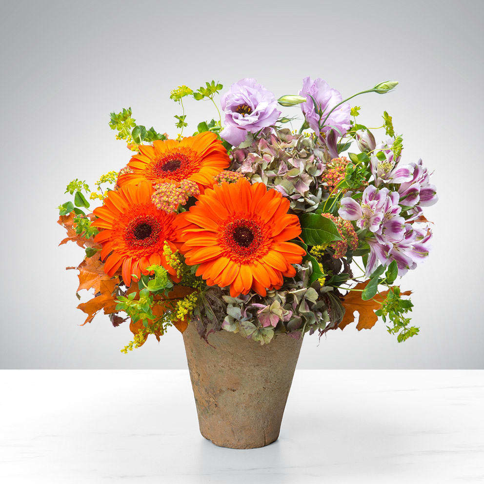 Terracotta Flower Time by BloomNation™ - What time is it? Terra-Cotta Flower Time! Add some clay to your day with this fabulous flower arrangement. Featuring a star-studded cast of seasonal blooms, all resting in a terracotta vase, this arrangement will bring seasonal smiles and a rustic charm wherever it goes!