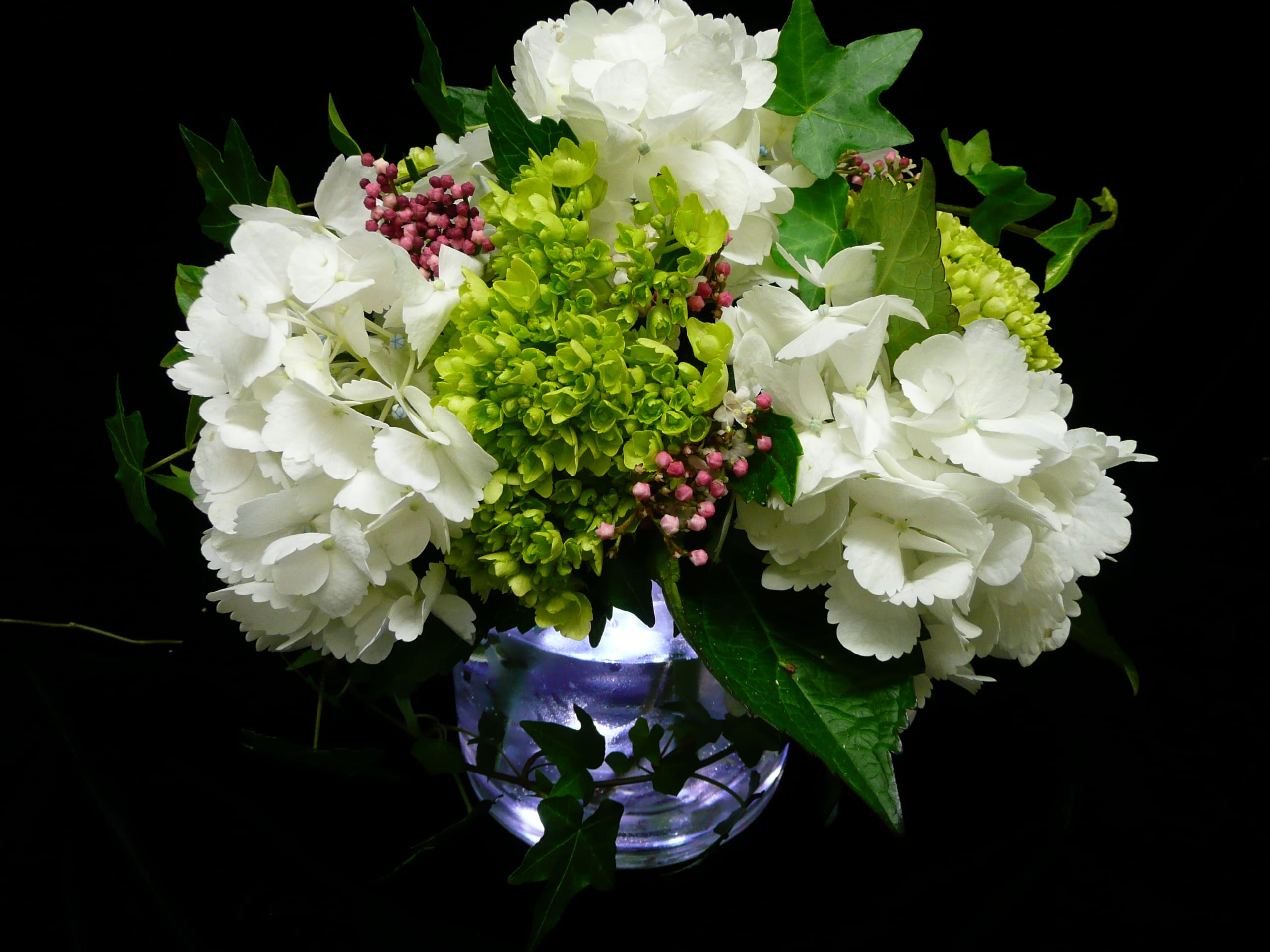 Low glass vase with white and green hydrangeas and pink berries against a black background