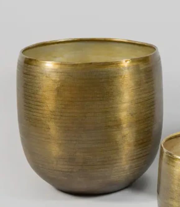 Gold metal planter pot on a plain background