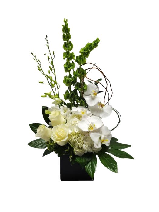 Tall modern arrangement of white orchids, roses, and hydrangea with green spikes in a black square vase
