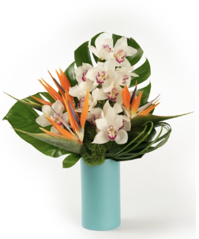 Fins and Florals - Bold orange, turquoise and white bring playful South Florida energy to this vibrant design.  
