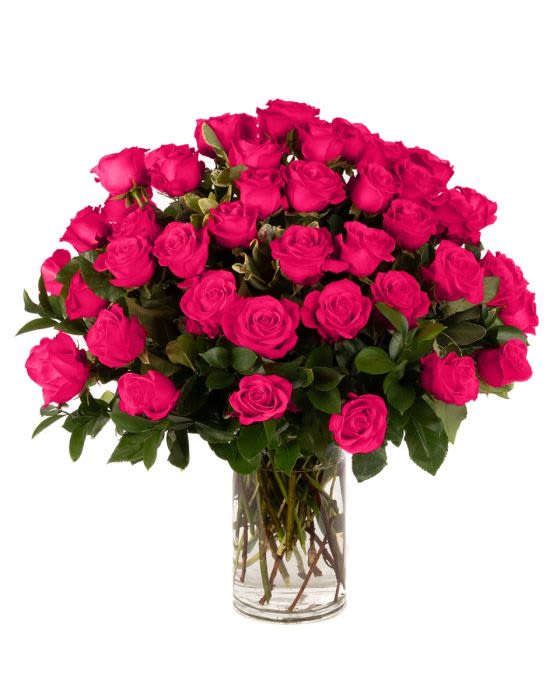 Four Dozen Hot Pink Roses - Our classic 4 dozen hot pink roses are designed with roses, rich greens in a clear glass cylinder.