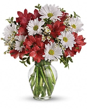 Dancing in Daisies - Daisy days are here again! Reconnect with an old friend by sending this enchanting array of white daisies and red alstroemeria in a sparkling clear glass vase. They'll love it - and you! Expect a phone call. This delightful bouquet includes red alstroemeria and white daisy spray chrysanthemums accented with assorted greenery. Delivered in a classic urn vase. 