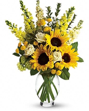 Here Comes The Sun - Here comes the sun and it's all bright, especially when it comes to this gorgeous bouquet. Anyone who receives this golden arrangement will definitely feel its warmth. As if green roses next to yellow sunflowers and snapdragons weren't brilliant enough, we've added white stock, green button spray chrysanthemums, salal, myrtle and pittosporum to an exclusive Inspiration Vase. 