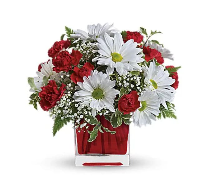 Red carnations and white daisies in a square glass vase