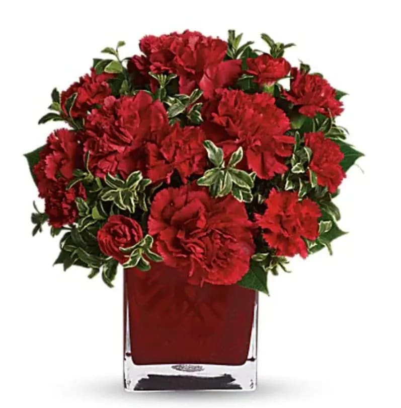 Precious Love - Simply speaking, red means romance. Send this bouquet of vibrant red carnations to your sweetheart and you'll convey passion, energy and desire. Remember also that you're sending not one gift but two: gorgeous flowers and a colorful cube vase. A mix of red carnations and red miniature carnations is delivered in a red glass Teleflora cube vase.   Orientation : One-Sided  All prices in USD ($)  Standard  T05N431A  Deluxe  T05N431B  Premium  T05N431C