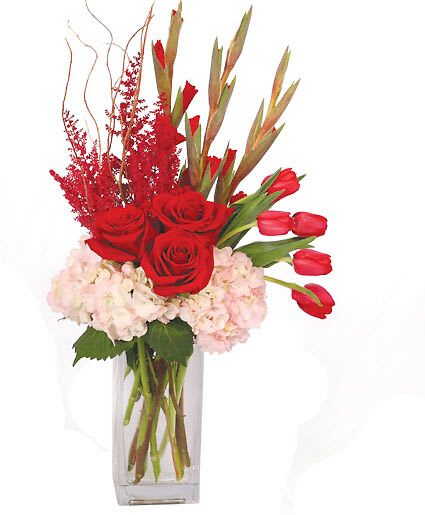 Glorious Garnet - Clear Tall Rectangular Vase , Curly Willow , Flowers: Light Pink Hydrangea , Red Tulips , Burgundy Astilbe , Red Gladiolus , Red Roses.