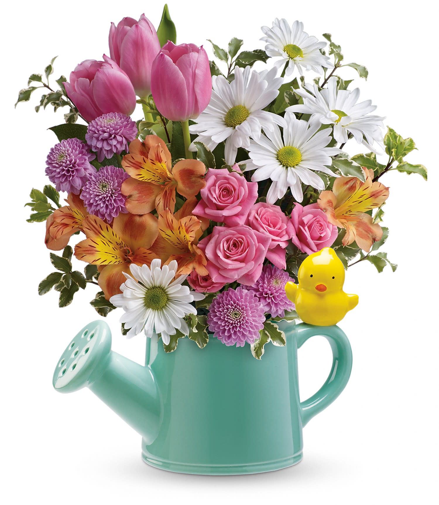 Teleflora's Send a Hug Tweet Tweet Bouquet - Pink spray roses, pink tulips, peach alstroemeria, lavender button spray chrysanthemums and white daisy spray chrysanthemums are accented with pitta negra and lemon leaf. Delivered in a Send a HugÂ® Tweet Tweet watering can. Approximately 11 3/4" W x 13 1/4" H    T15E300A