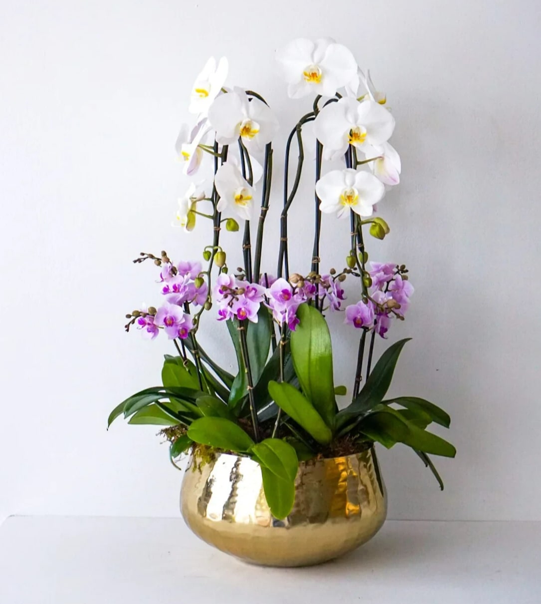 White and purple orchids in a gold bowl planter