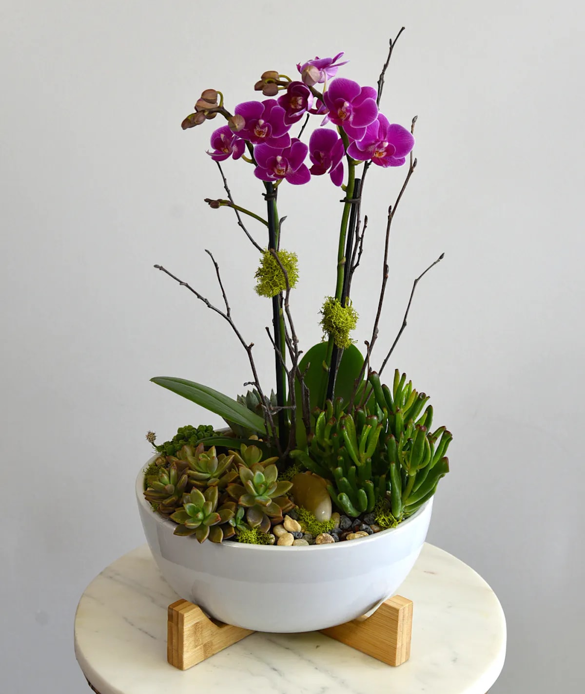 Purple orchids in a white bowl planter with succulents