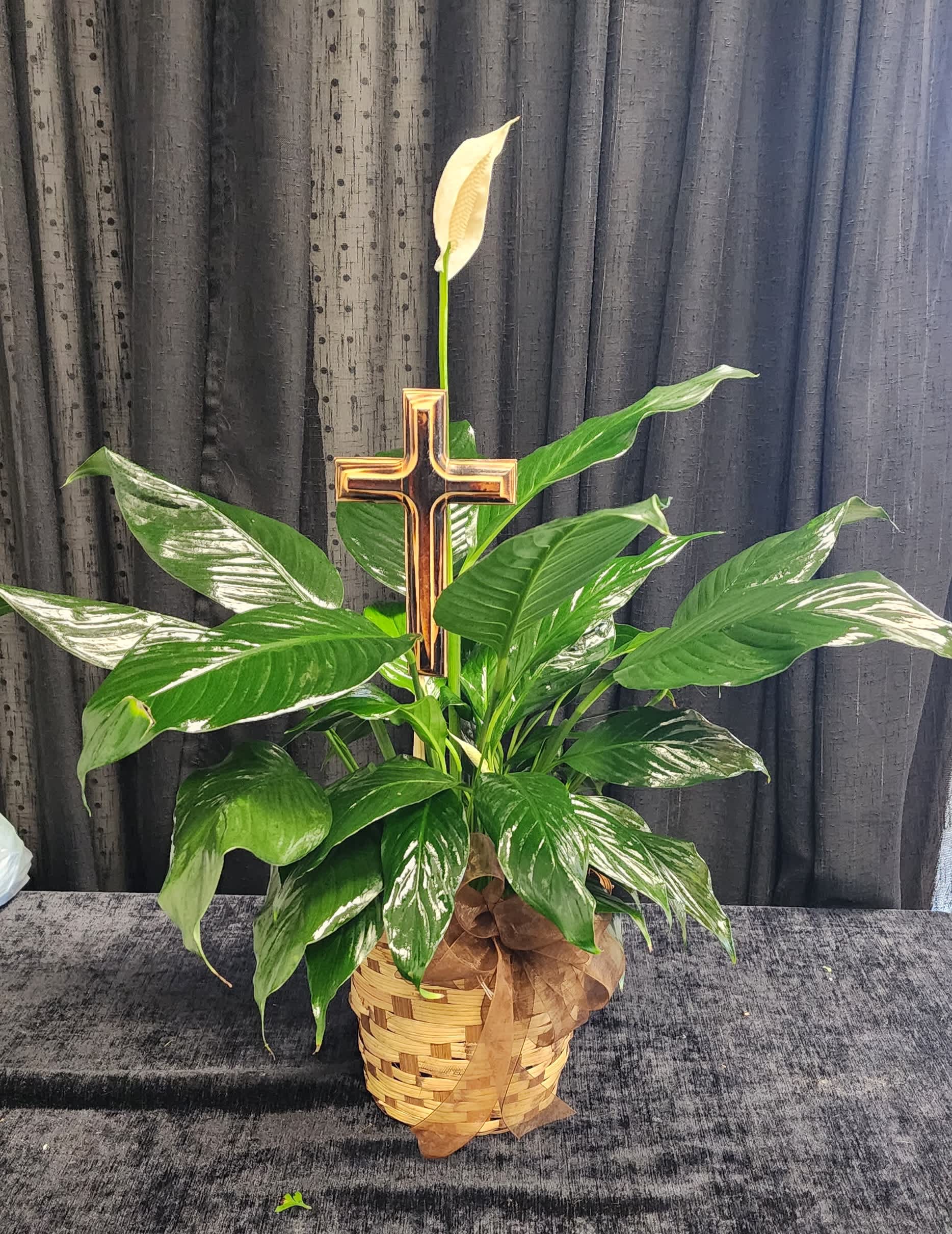 Peaceful lily - A 6-inch potted peace lily with a keepsake wooden cross.