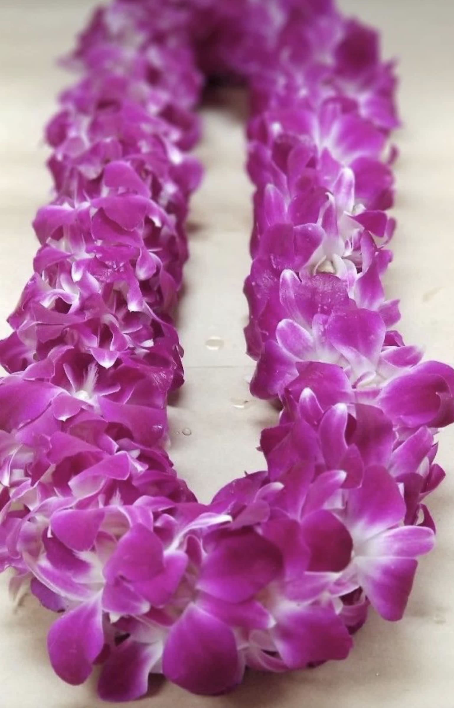 A purple orchid lei arranged in a loop on a light surface.