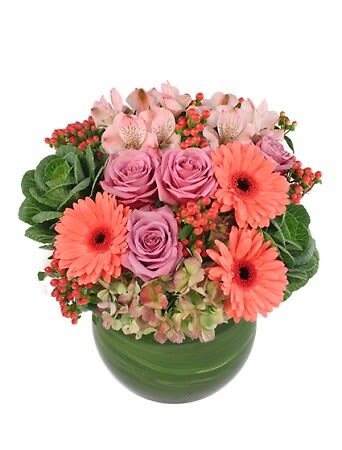 Forever More - You can never go wrong with this superb bouquet! The vibrant coral gerberas and stunning lavender roses pair nicely with the lovely pink alstroemeria, handsome antique green hydrangea, charming coral hypericum, and pretty ornamental kale, making Forever More a forever favorite. Show them your love and send them this awe-inspiring arrangement!  Includes Large Bubble Bowl Vase , Foliage: Aspidistra Leaf, Salal , Small Green Ornamental Kale , Lavender Roses , Coral Gerberas , Coral Hypericum , Pink Alstroemeria , Green Hydrangea (Antique).
