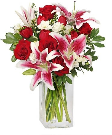 Sweetly-scented - Bring the sweet-smelling aroma into any home with this striking bouquet! Featuring gorgeous Stargazer lilies, stunning red roses, superb red tulips, lovely white 'Monte Casino' asters, and radiant white freesia, Sweetly-Scented is an elegant mix, perfect for any occasion. Spread the love and send this vibrant bouquet!  Includes Tall Square Vase,  foliage: Variegated Pittosporum,   Stargazer Lilies,   White Freesia,   Red Roses,   Red Tulips,   White Monte Casino Aster.