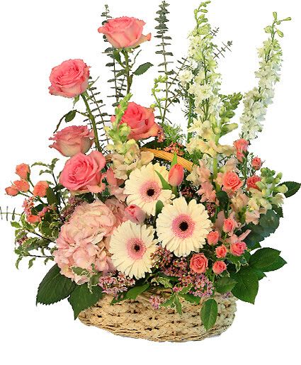 Blushing Sweetness - There's nothing bashful about these blushing blooms! With beautiful pink roses, lovely pink tulips, gorgeous pink snapdragons, and pretty bi-colored gerberas, Blushing Sweetness is a sight to behold. Whether you're looking to surprise someone special or want to send flowers just because, this dazzling basket will delight anyone who receives it!  Includes Oval Basket, Salal, Variegated Mini Pittosporum, Baby Eucalyptus, Pink Roses, Bicolor Pinkwhite Gerberas, Pink Hydrangeas, Pink Spray Roses, Pink Larkspur, Light Pink Snapdragons, Pink Tulips.