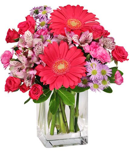 Epic Bloomers - Showing appreciation for the ones we love is always important. This epic bouquet is filled to the brim with hot pink gerberas, spray roses, and lavender alstroemeria. From your spouse to your best friend, why not celebrate with a blooming good arrangement?  Includes Tall Rectangular Vase, Foliage: Pittosporum, Hot Pink Gerberas, Lavender Monte Casino Aster, Lavender &amp; White Alstroemeria, Hot Pink Miniature Spray Roses, Lavender Mini Carnations.