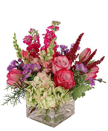 Lively &amp; Luscious - These spunky blooms are just what they need to brighten their day! This luscious bouquet is full of tulips, roses, snapdragons, and more. Send these lively flowers to someone you love just because! Perfect for any occasion, this arrangement will have them feeling extra appreciated.  Includes Cube Vase, Greens: Variegated Pittosporum, Carolina Sapphire, Flowers: Antique Green Hydrangea, Fuscia Tulips, White Calcinea, Burgundy Upright Amaranthus, Fuscia Stock, Pink Roses, Light Pink Snapdragons, Purple Monte Casino Asters.
