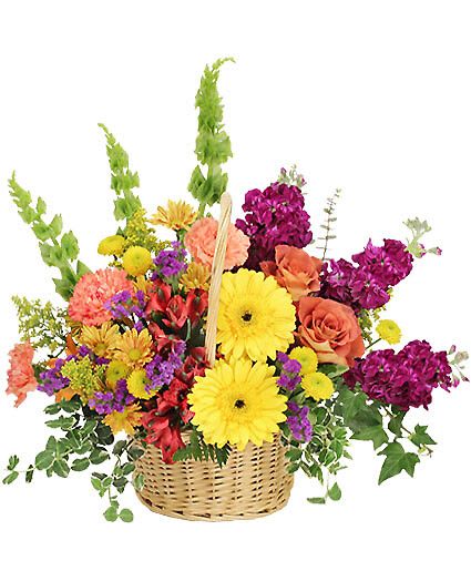 Floral Flavor - This mesmerizing basket is bursting with color! Featuring sunshine yellow gerberas, terra cotta roses, red alstroemeria, purple stock, and orange carnations, Floral Flavor makes for an awe-inspiring gift, captivating spring decor, or even a special pick-me-up. No matter the reason, Floral Flavor is a gift to savor!  Includes Round Wicker Basket W Handle &amp; Liner For Wet Floral Foam, Foliage: Variegated Pittosporum, Ivy, Leather Leaf, Baby Blue Eucalyptus, Yellow Gerberas, Red Alstroemeria, Novelty Butterscotch Daisy Poms, Yellow Button Poms, Orange Carnations, Terra Cotta Roses, Purple Stock, Bells Of Ireland, Purple Statice, Solidago.