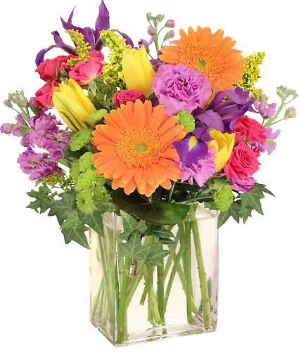 Celebrate Today! - Add some pizazz to their life with this exciting arrangement! With purple iris, orange gerberas, purple carnations, hot pink spray roses, yellow tulips, and more, Celebrate Today is truly a magnificent celebration. There's never been a better reason to celebrate!  Includes Rectangular Vase, Foliage: Aspidistra Leaves, Galax, Ivy, Purple Iris, Orange Gerberas, Purple Carnations, Hot Pink Spray Roses, Purple Stock, Yellow Tulips, Green Button Poms, Solidago.