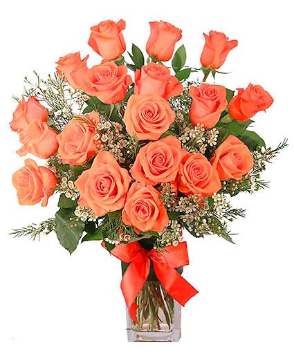 Orange Admiration - Roses have never looked so good! With 18 glorious coral roses, graceful white waxflower, and flawless Israeli Ruscus, this unforgettable arrangement takes admiration to the next level. Show them how much you care with the stunning Orange Admiration!  Includes Tall Rectangle Vase, Coral Ribbon, Greens: Aspidistra, Salal&amp;nbsp, Israeli Ruscus, Flowers: Coral Roses, White Waxflower.