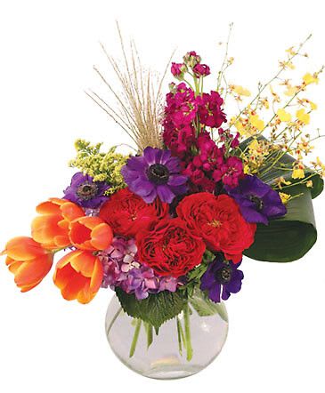 Regal Treasure - Regal Treasure is a vibrant delight bursting with red garden roses, purple anemones, orange tulips, yellow oncidium orchids and more. Spoil your loved one with a design fit for royalty! Approx. 18"H x 18"W  Includes Clear Ginger Vase, Greens: Aspidistra, Exploded Grass, Flowers: Purple Anenomes, Red Garden Roses, Purple Stock, Orange Tulips, Blue Hydrangea, Yellow Oncidium Orchids, Yellow Solidago.