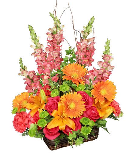 Brilliant Basket - There are so many ways to celebrate with a basket of flowers like these! Our Brilliant Basket is filled with roses, carnations, snapdragons, lilies, gerberas, and more. This arrangement is an enchanting gift. With blooms as bright as these, they'll know just how much they're appreciated!  Includes Brown Rectangular Basket With Handle And Liner, Foliage: Ivy, Leather Leaf, Hot Pink Roses, Hot Pink Carnations, Peach Talisman Snapdragons, Orange Lilies, Orange Gerberas, Green Kermit Button Poms, Birch Branches.
