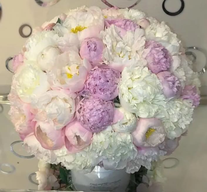 Grand Peony Signature Box - Assorted color Premium Peonies