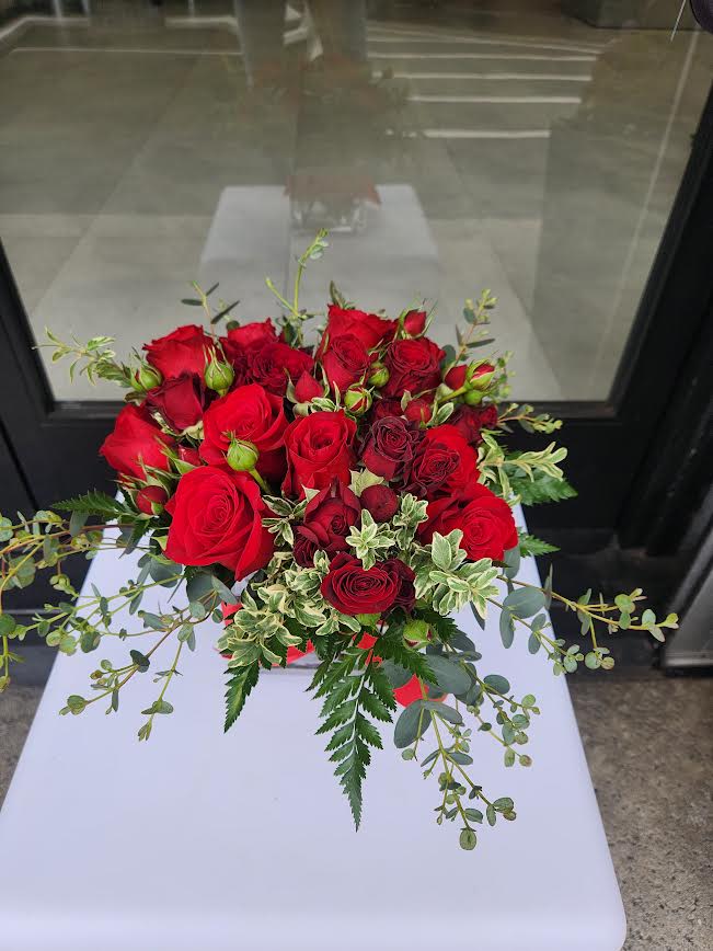 Low arrangement of red roses with trailing greenery in a red container