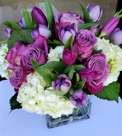 Compact arrangement of purple roses and tulips with white hydrangeas in a clear glass cube vase