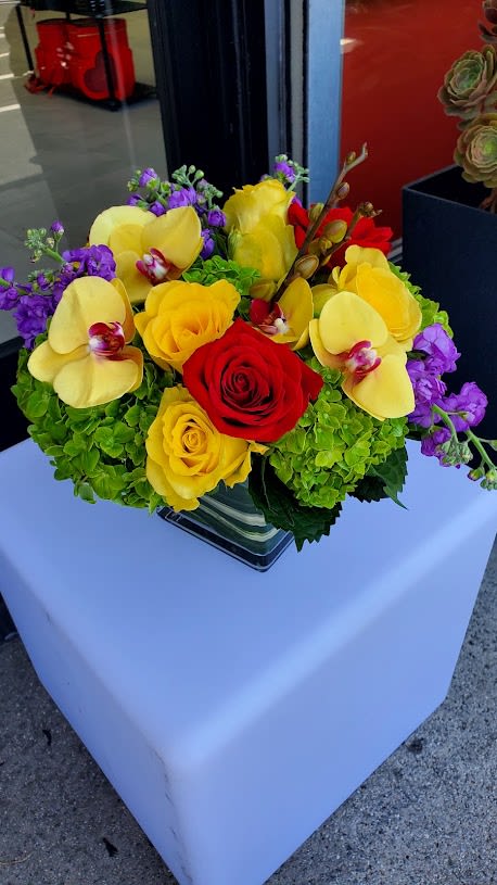 Low arrangement of yellow orchids, yellow and red roses, and green hydrangeas in a glass cube vase