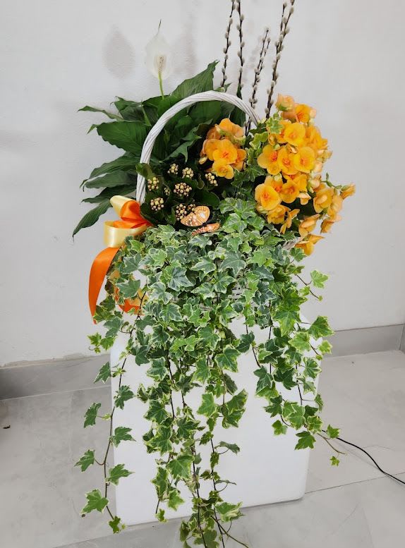 Tall mixed plant basket with trailing ivy, orange flowers, and a white bloom in a white container