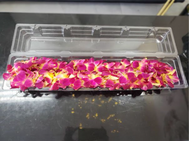 Double Graduation lei Pre order required ( May request colors)  - Hot pink and gold graduation lei Double 