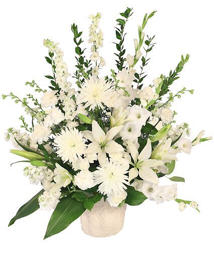 Graceful Devotion - Send comfort and compassion in remembrance of a lost loved one with the Graceful Devotion memorial arrangement. White carnations, lilies, and spider mums ease the mourning hearts left behind, and give off the bright aura of new life. The Graceful Devotion memorial arrangement would be a beautiful addition to any funeral service or wake; or sent to the home for a more personal sentiment.  Includes J Mach Container, Foliage: Aspidistra, Salal, Myrtle, White Gladiolus, White Lilies, White Stock, White Larkspur, White Carnations, White Spider Mums.